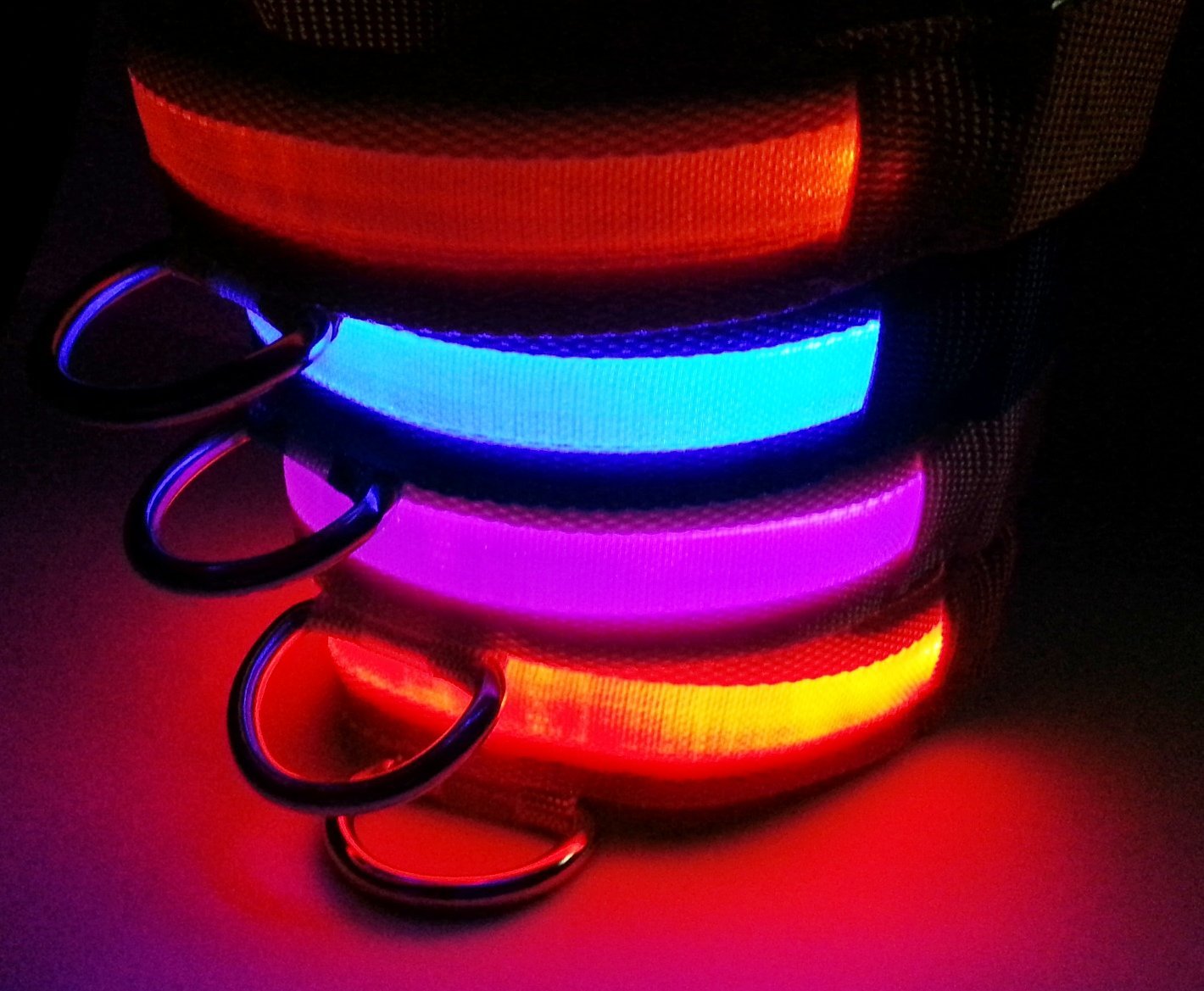 Leuchthalsband Test Hund LED Halsband Erfahrungen Hundehalsband