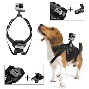 Gopro Hero Hund Hundehalterung