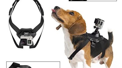 Gopro Hero Hund Hundehalterung